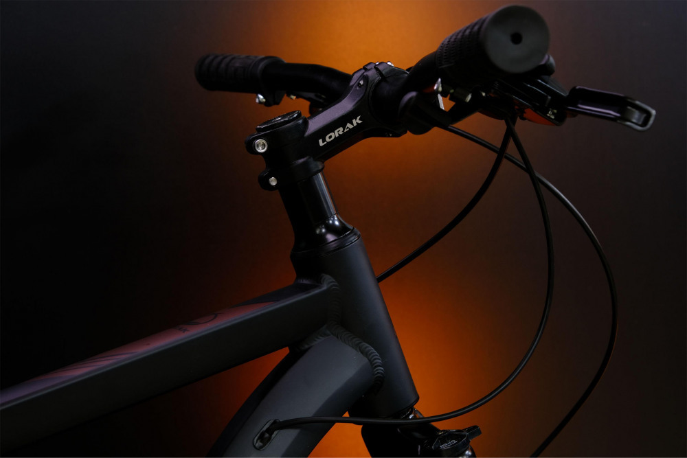 LORAK Fast Brown 29 Матовый Чёрный рама 17 (на рост 165-175)